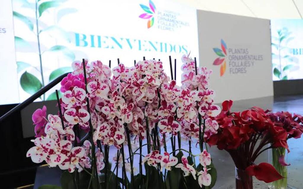 guatemala-congreso-de-flores-por-conectar-productores-y-exportadores