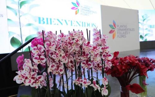 guatemala-congreso-de-flores-por-conectar-productores-y-exportadores