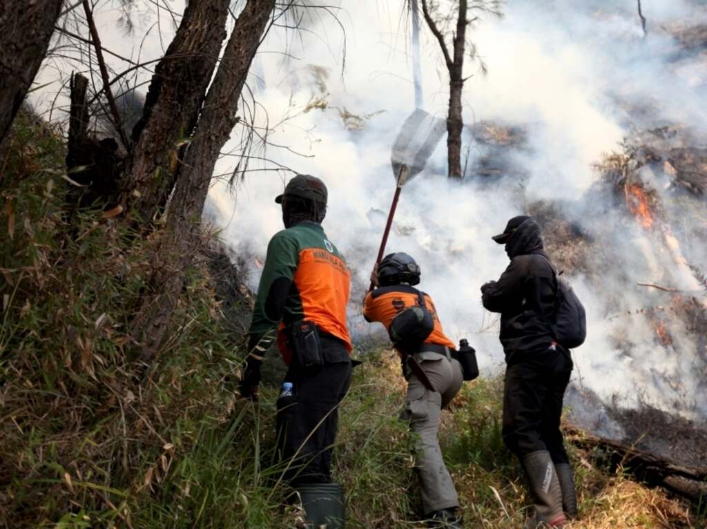indonesia-pausa-algunas-rutas-de-excursion-por-incendios-forestales