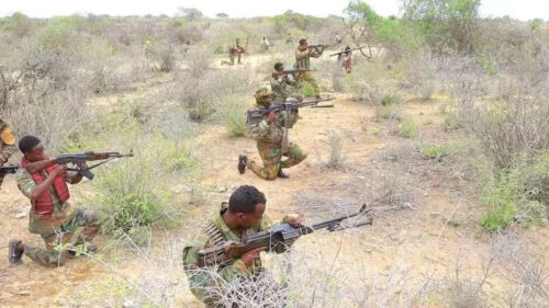 abatidos-en-somalia-15-supuestos-miembros-de-al-shabaab