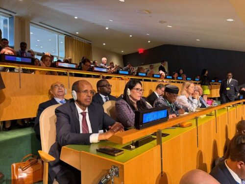 africa-destaca-tema-del-ano-de-asamblea-onu-ante-desafios-mundiales