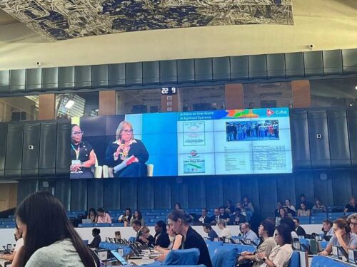 cuba-reafirma-compromiso-con-enfoque-una-sola-salud-propuesto-por-fao