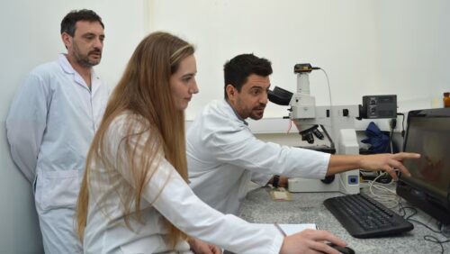 ensayan-metodo-para-evitar-rechazo-de-organos-en-trasplantes