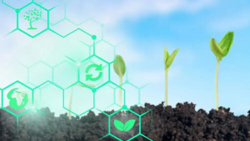 rusia-aprueba-estrategia-hasta-2050-para-desarrollar-la-bioeconomia