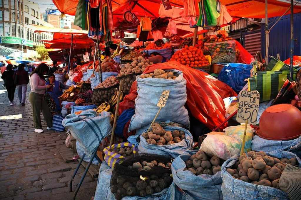 denuncian-en-bolivia-carestia-de-vida-para-familias