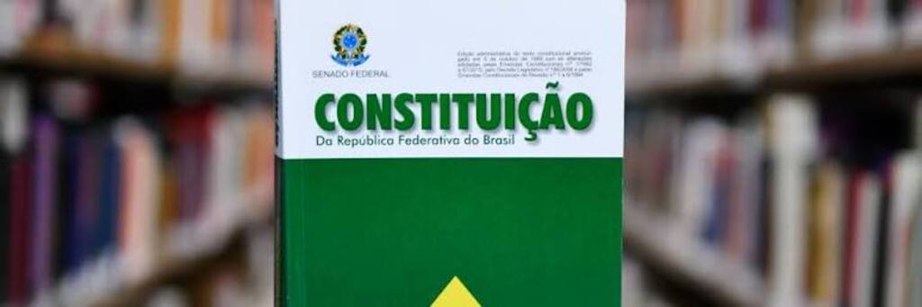 brasil-flavio-bolsonaro-senala-intencion-de-cambiar-la-constitucion