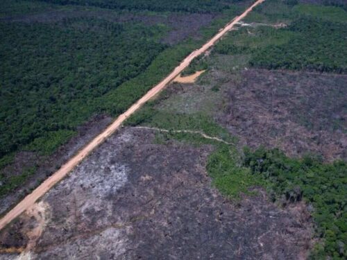 cerrado-brasileno-pierde-vegetacion-nativa-proxima-a-rios