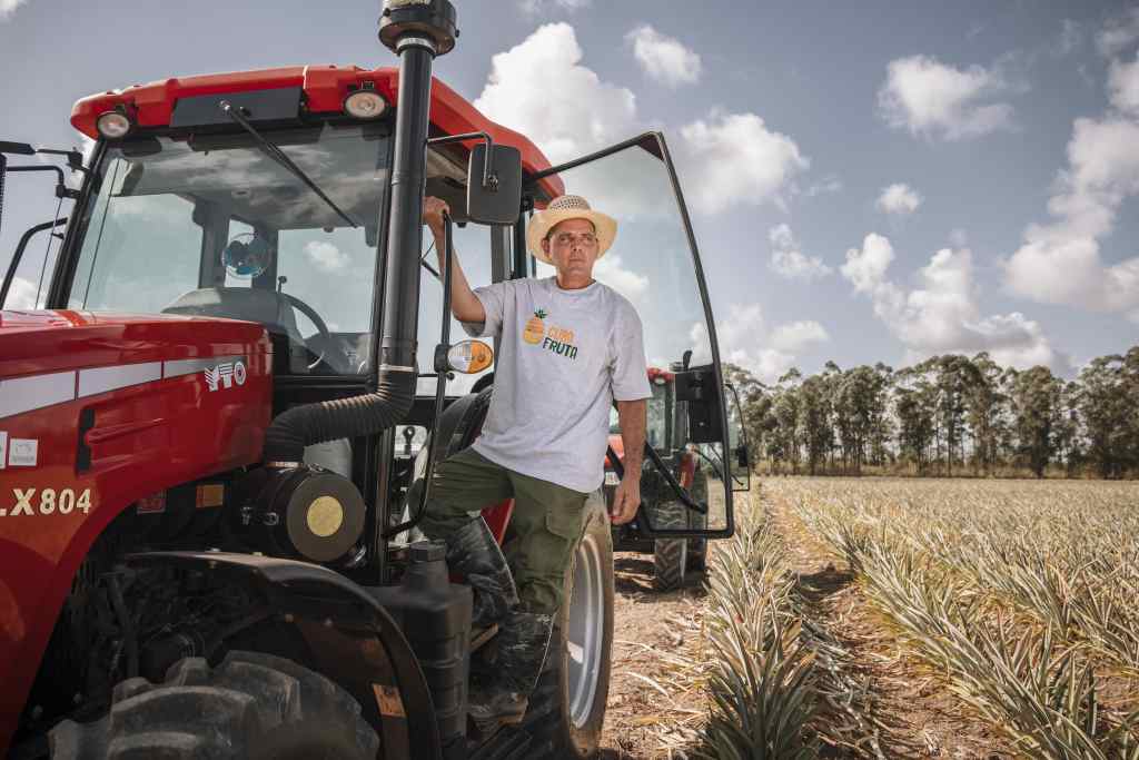 italia-y-cuba-fortalecen-produccion-sostenible-de-pina-y-aguacate