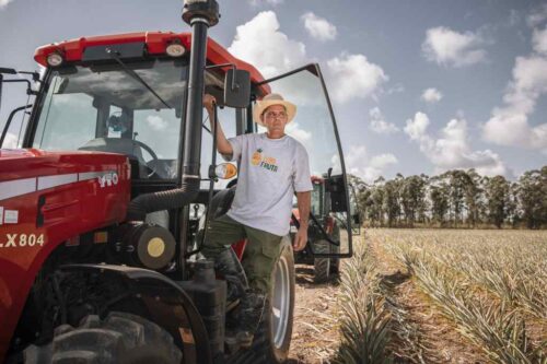italia-y-cuba-fortalecen-produccion-sostenible-de-pina-y-aguacate