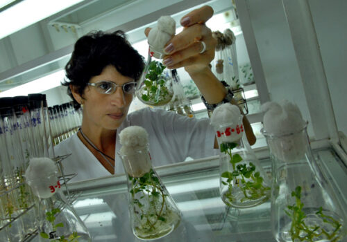 llueva-truene-o-relampaguee-haremos-ciencia-en-cuba
