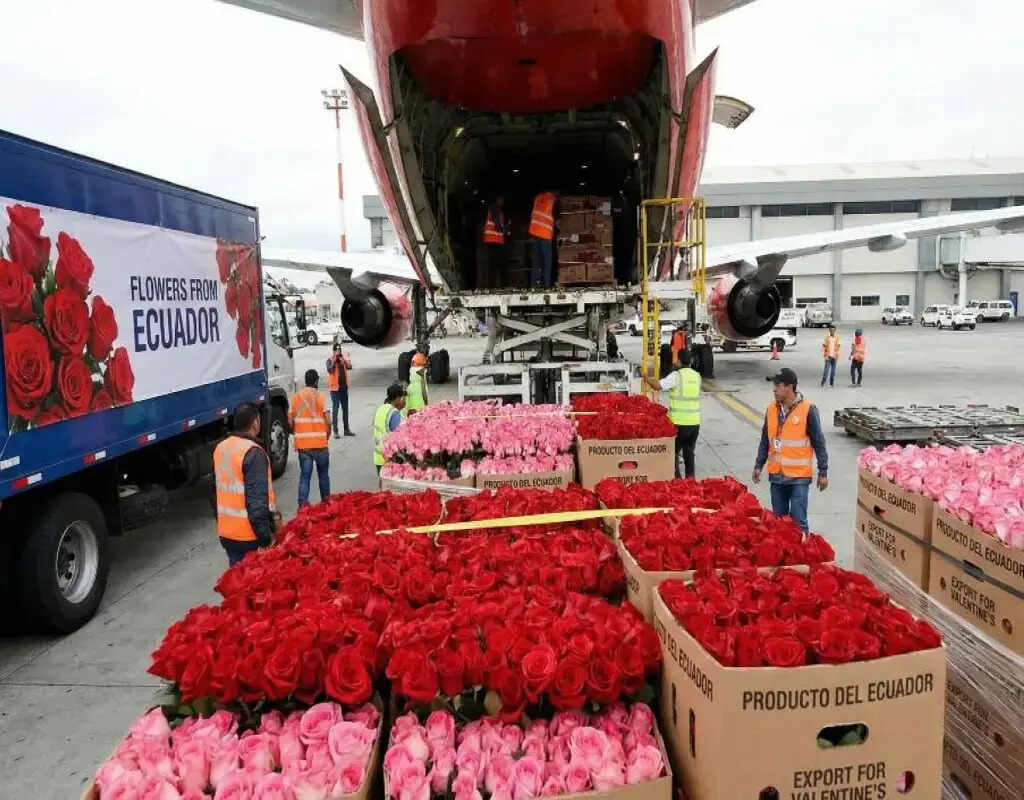 ecuador-anuncia-aumento-de-exportaciones-e-inversion-extranjera