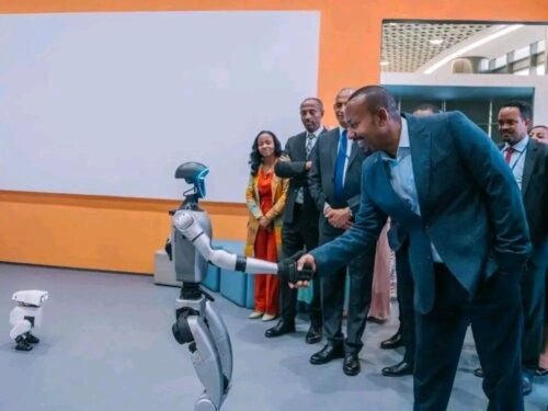 estrategia-etiopia-digital-2030-vision-de-identidad-nacional
