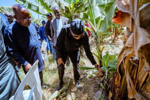 nigeria-aprovechara-experiencia-de-etiopia-en-agricultura-mecanizada
