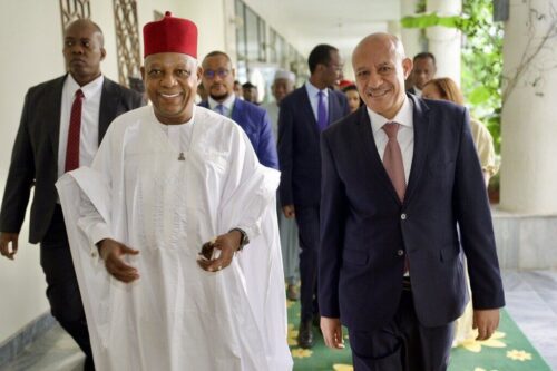 etiopia-y-nigeria-evaluaron-cooperacion-y-seguridad-alimentaria