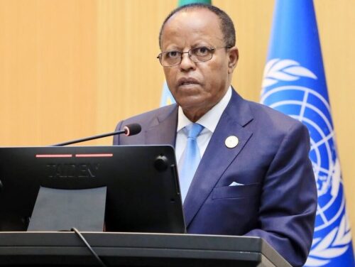 reformas-estadisticas-en-etiopia-ejemplos-medibles-para-africa