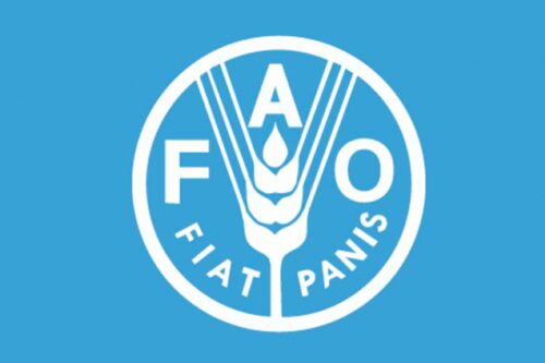 familias-juventud-y-cocina-centran-hoy-exposicion-de-fao-en-roma