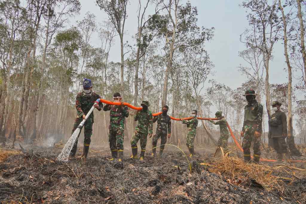 singapur-e-indonesia-indagan-sobre-incendios-forestales
