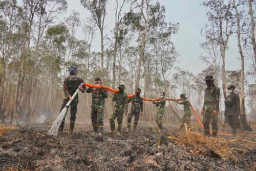 singapur-e-indonesia-indagan-sobre-incendios-forestales