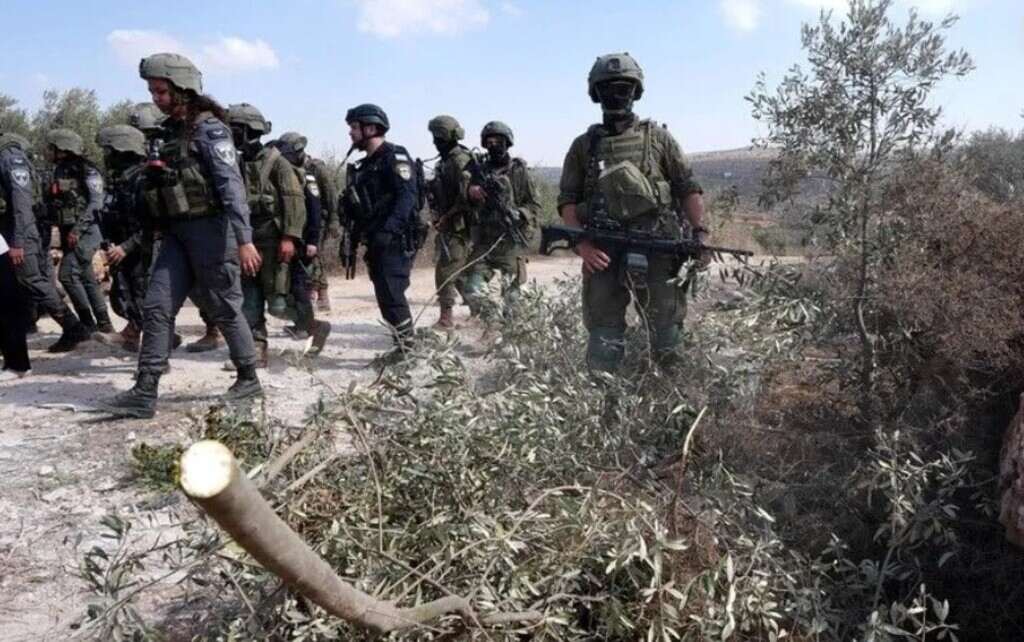 israel-detiene-a-11-activistas-extranjeros-en-el-sur-de-cisjordania