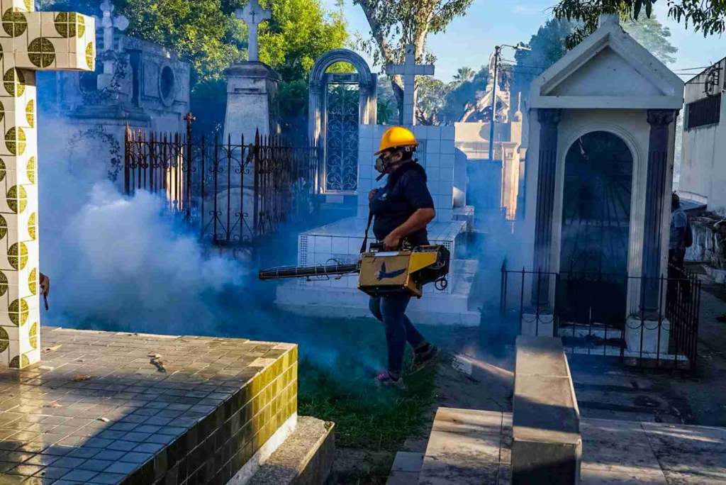 el-salvador-se-prepara-para-conmemorar-el-dia-de-los-difuntos